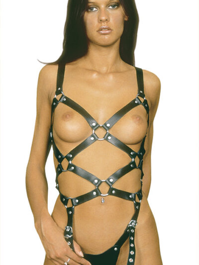 Body 3011