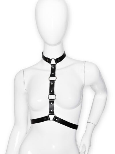 Harness 3021