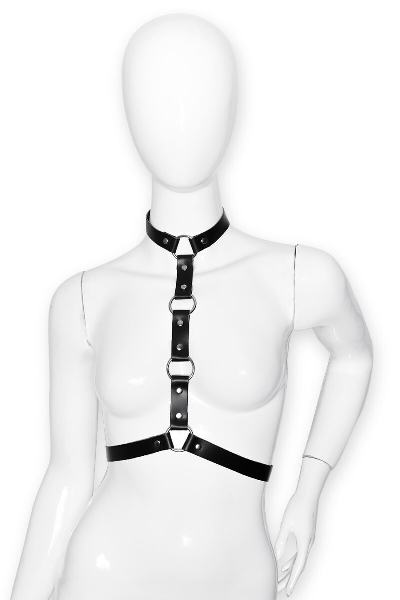 Harness 3021
